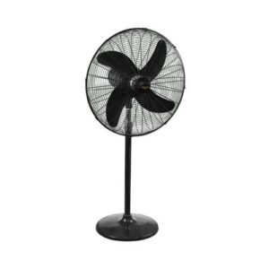 Pedestal CC Hasan